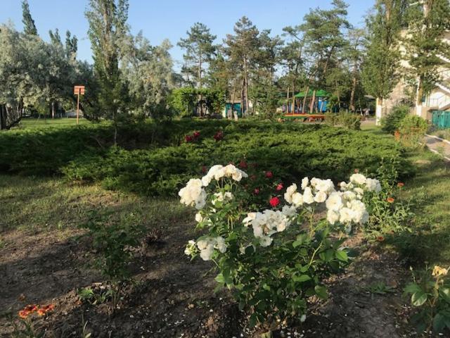База Отдыха Наука Коблево Koblevo Exterior foto